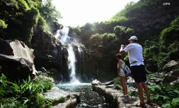 bassins des Cormorans