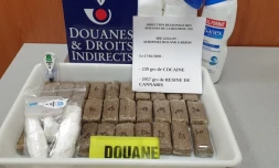 Drogue