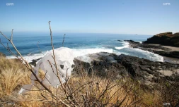 pollution sachet plastique