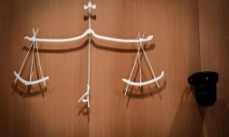 Après les interpellations dans le cadre d'enquêtes sur l'acquisition de poupées sexuelles à caractère pédopornographique, deux suspects seront jugés en 2026