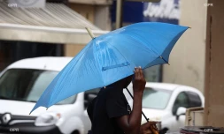 pluie 