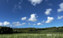 météo