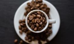 De Moka à Socotra. Où se trouve l'étoile et la clé de l'Arabie heureuse ? 