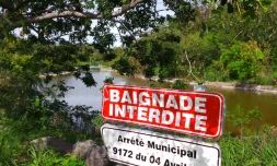 Parc boisé