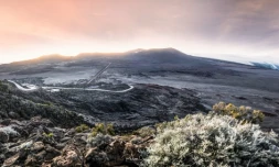 givre à la Plaine des sables