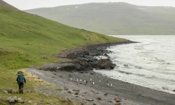 Mission Petrel : neuf jours de raid sur les Ăźles Kerguelen