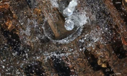 Eau 