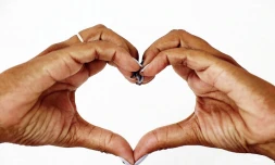 journée de la femme 