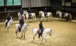 Des cavaliers participent à un entraînement avec des chevaux Lipizzan à Lipica dans le sud-ouest de la Slovénie, le 13 mai 2023 ( AFP / Jure Makovec )