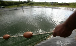 aquaculture 