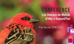 Conférence - Oiseaux de Mafate
