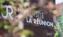 université de la réunion