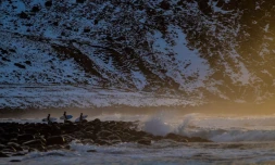 Surf en Norvège AFP