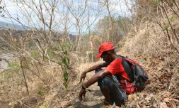 Grand raid 2012