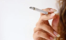 cigarettes 