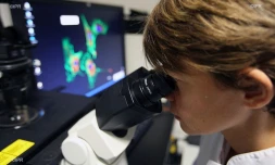 laboratoire de recherche 