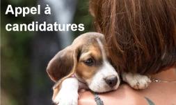 Animaux