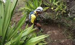 Course en montagne