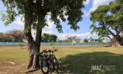 Vélos 