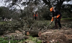 Ălagage dans le parc Retiro de Madrid, le 29 janvier 2021