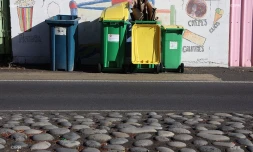 poubelles 