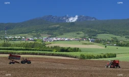 agriculture 