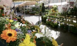 Vendeur sur les marchés, spécialiste en soins de bien-être, cumul de petits boulots: beaucoup de soignants suspendus pour leur refus de se faire vacciner contre le Covid-19 se sont reconvertis ( AFP / STEPHANE DANNA )