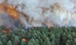 800 hectares ont déjà brûlé à Fontainebleau où un important incendie s’est déclenché dimanche 13 juillet. | AFP PHOTO / SDIS77 / FRANCK DESPREZ