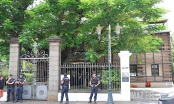 Saint-Denis : un homme perché dans un arbre rue de Paris [?]
