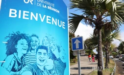 université de la réunion