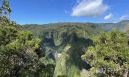 Météo réunion