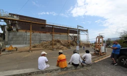 Campagne sucrière : grève à l'usine du Gol