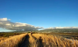 paysages 