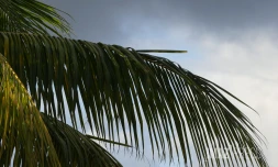 La météo sur La Réunion