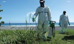 veille sanitaire au Port 