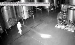 Espagne : 2,5 millions dâeuros de vin dĂ©versĂ©s sur le sol aprĂšs un acte de vandalisme