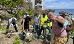 Tortues : une opération de réhabilitation des plages de ponte 