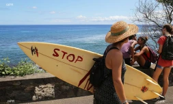 Manifestation contre la crise requins à Saint-Leu
