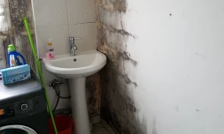 Logement insalubre, Tampon, CNL