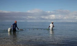 Pêche traditionnelle