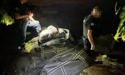 147 kg de zamal saisis par la gendarmerie