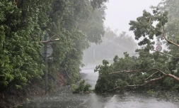 cyclone intense Batsirai 3 février 2022 ilet quinquina