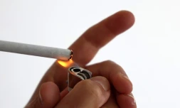 cigarette 