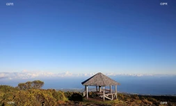 illustrations photos 