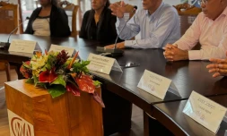  Cinor : un soutien financier pour des entreprises touchées par le cyclone Garance