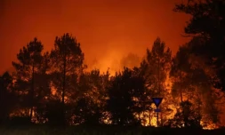 Un incendie d'une grande virulence Ă Le Porge en Gironde, le 23 juillet 2026 ( AFP / ROMAIN PERROCHEAU )