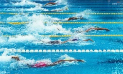 Natation 
