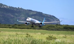 avion frenchbee 
