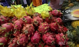 Salon de l'agriculture 2024
