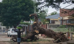   Une rue du district de Meconta, dans la province de Nampula, le 13 mars 2022, après le passage du cyclone Gombe  